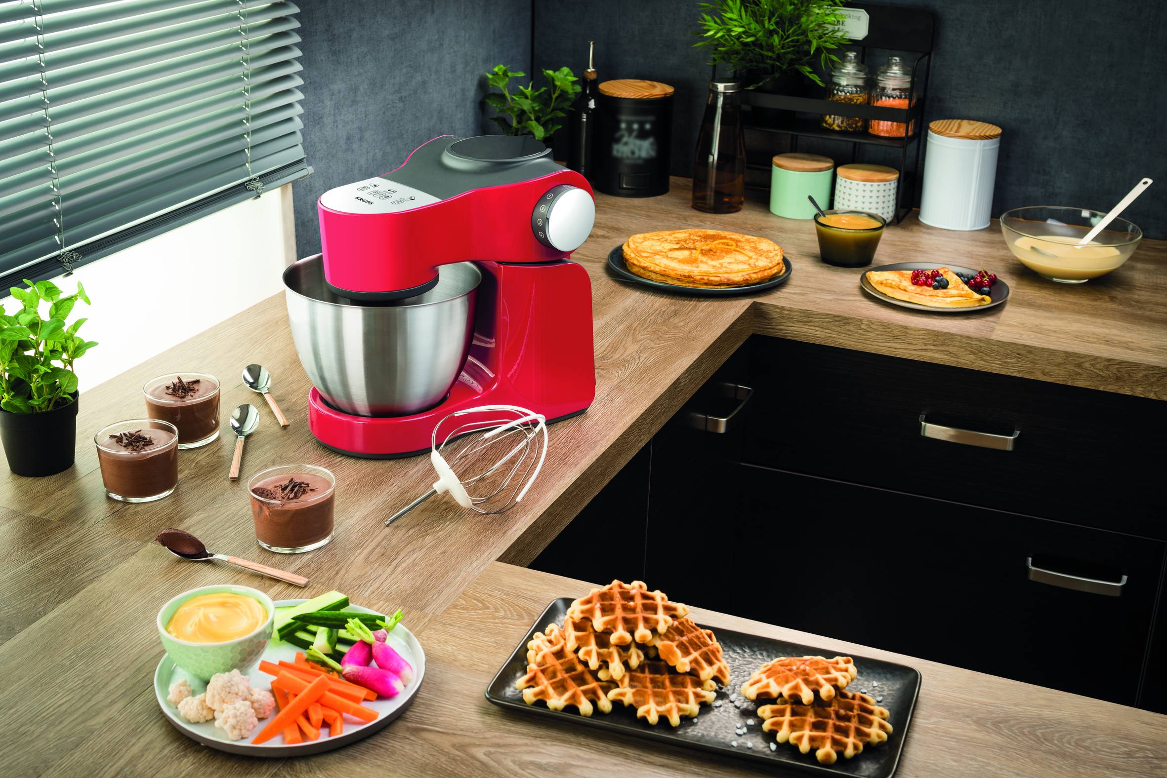 MASTER PERFECT PLUS ROT