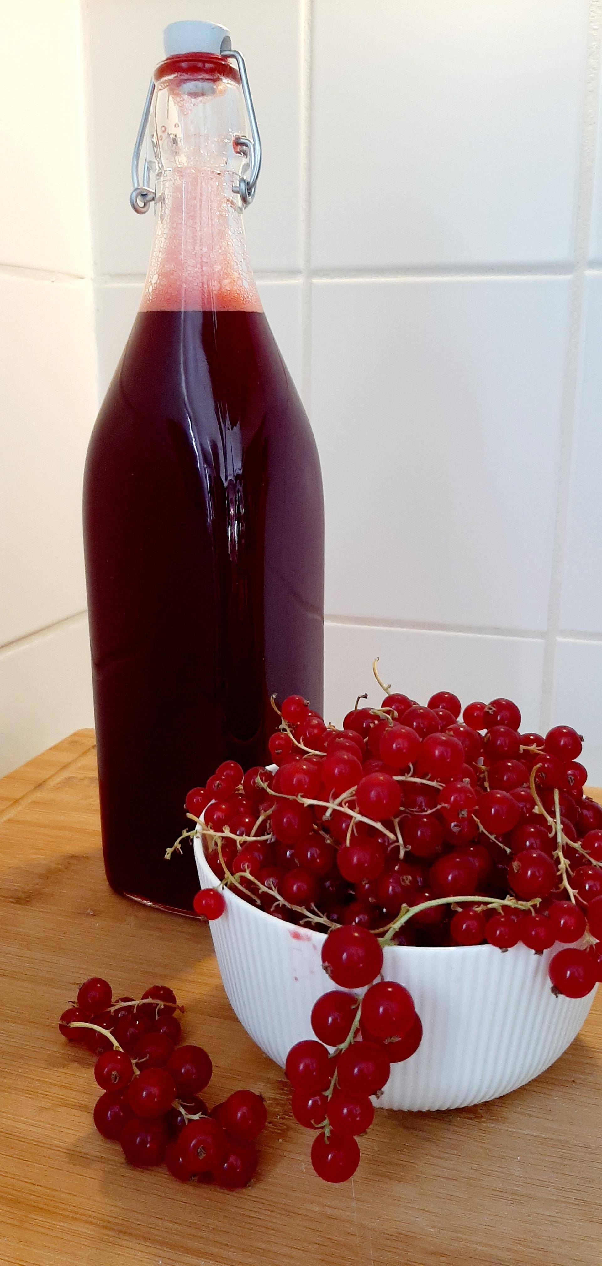 Johannisbeeren entsaften - Rezepte Prep & Cook Connect | Krups