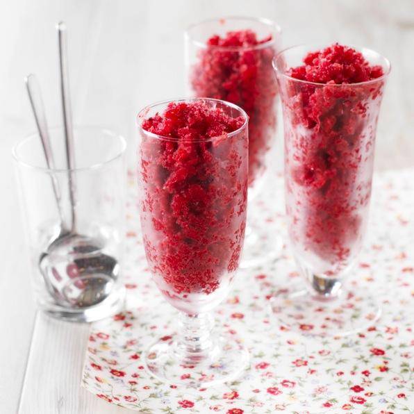 Rote-Beeren-Sorbet - Rezepte Prep & Cook | Krups