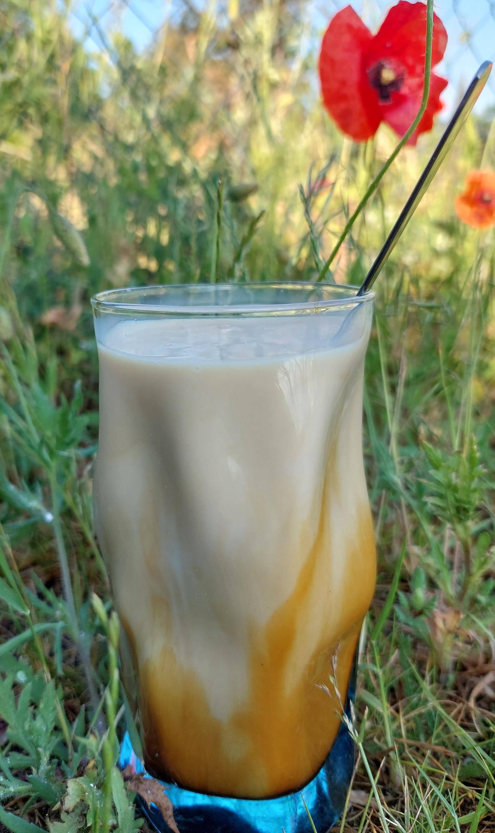 Kaffee Sirup Eiskaffee - Rezepte Prep & Cook | Krups