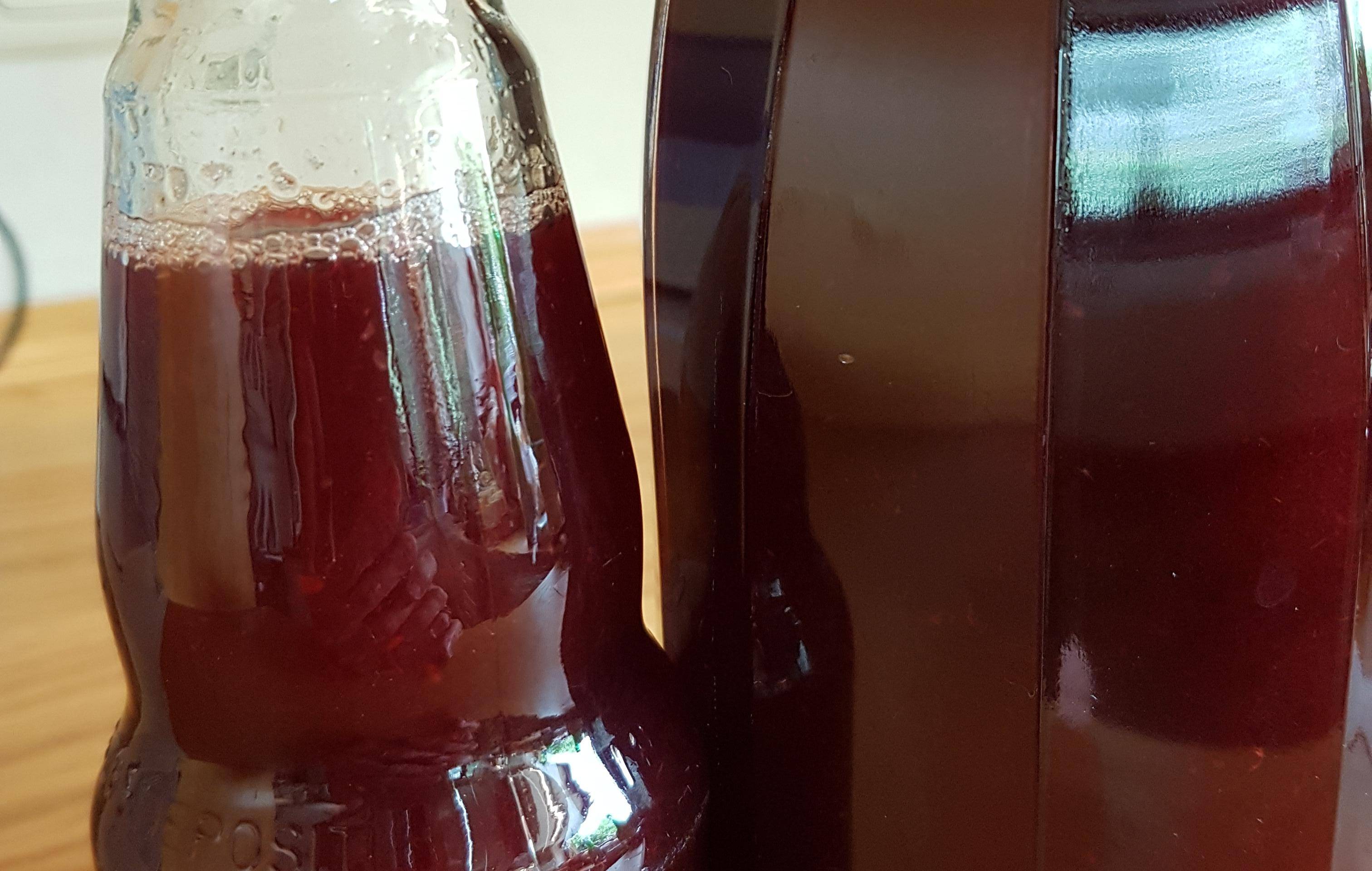 Johannisbeersaft - Rezepte Prep &amp; Cook | Krups