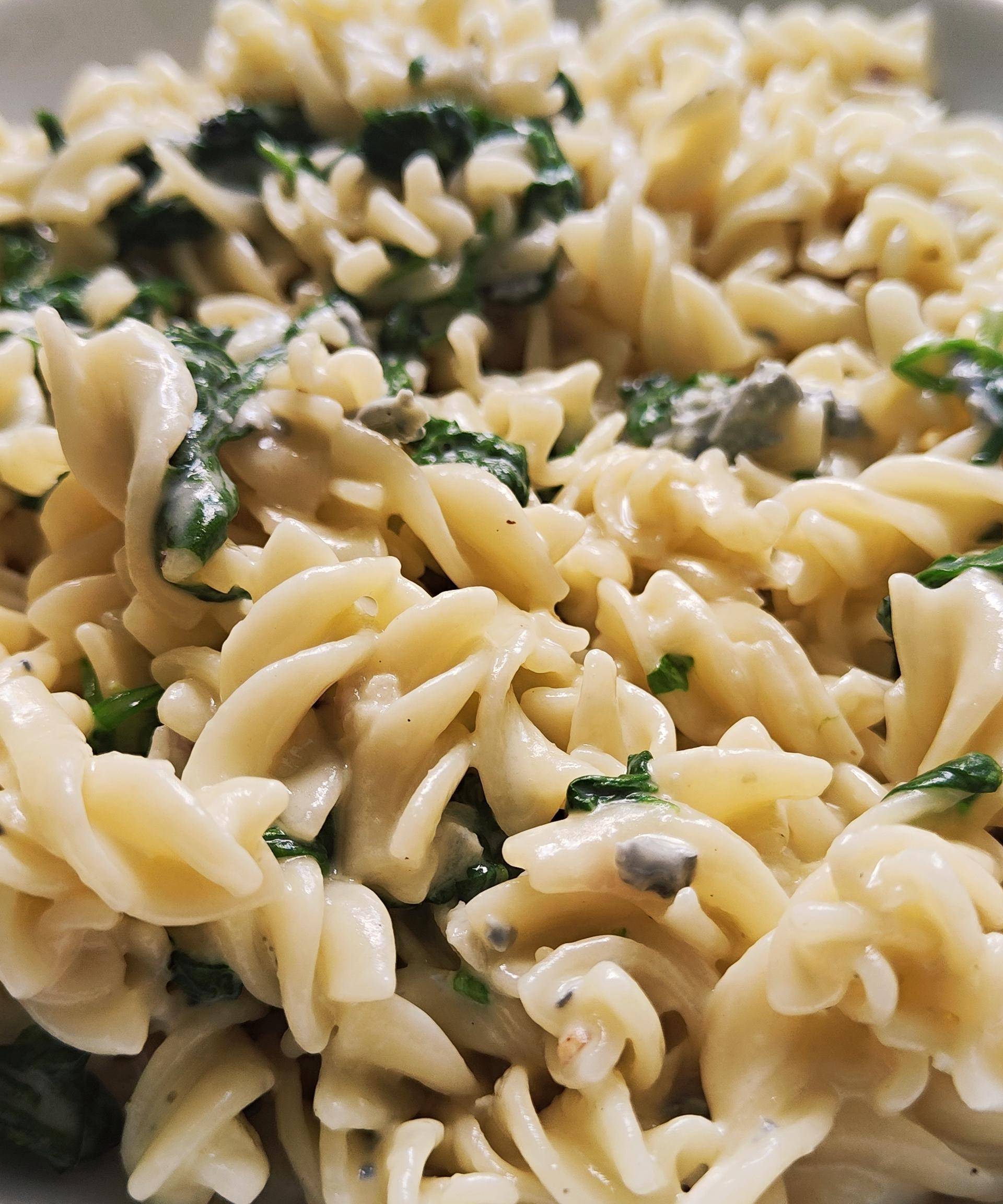 Gorgonzola-Spinat-Pasta - Rezepte Prep & Cook XL | Krups
