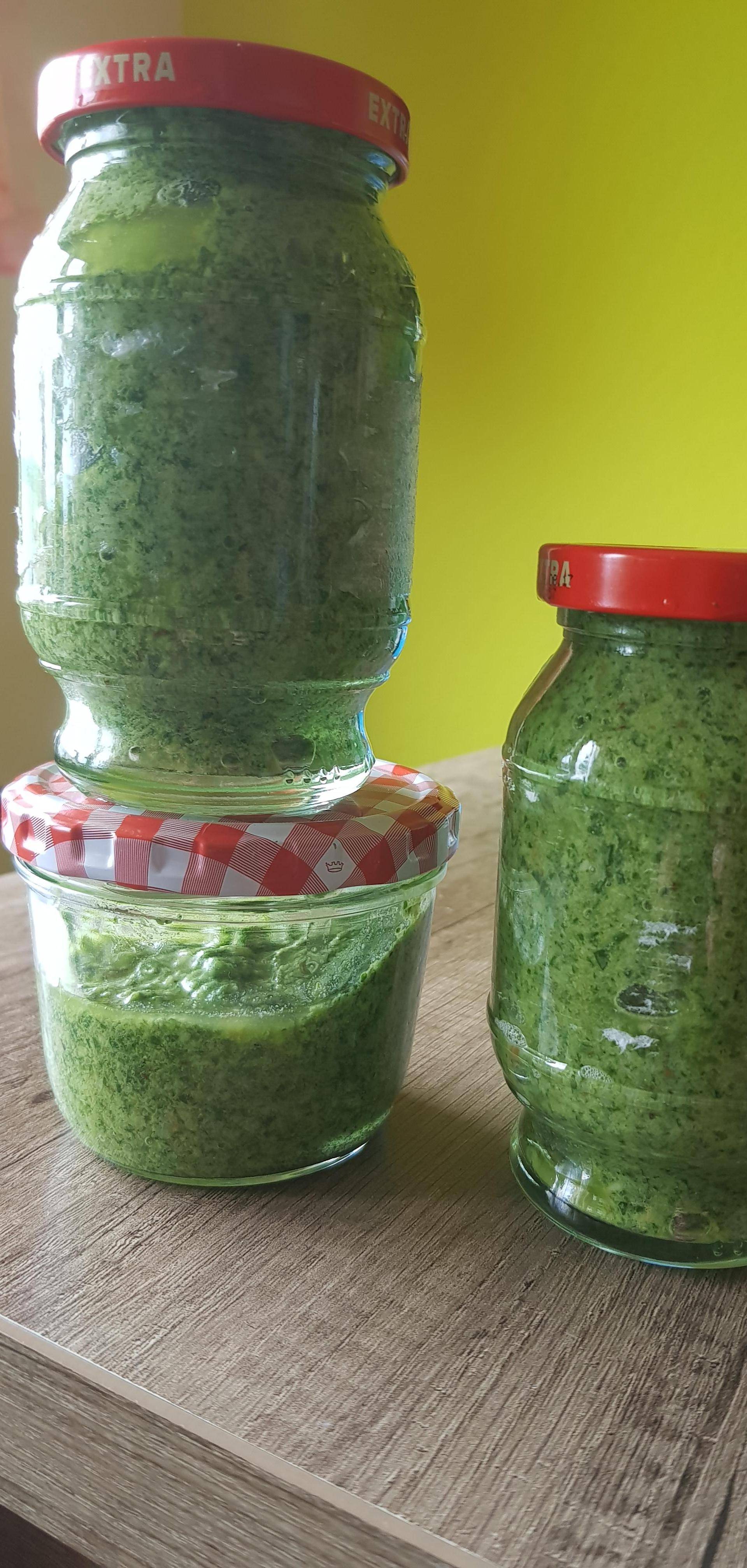 Saueramferpesto - Rezepte Prep & Cook | Krups