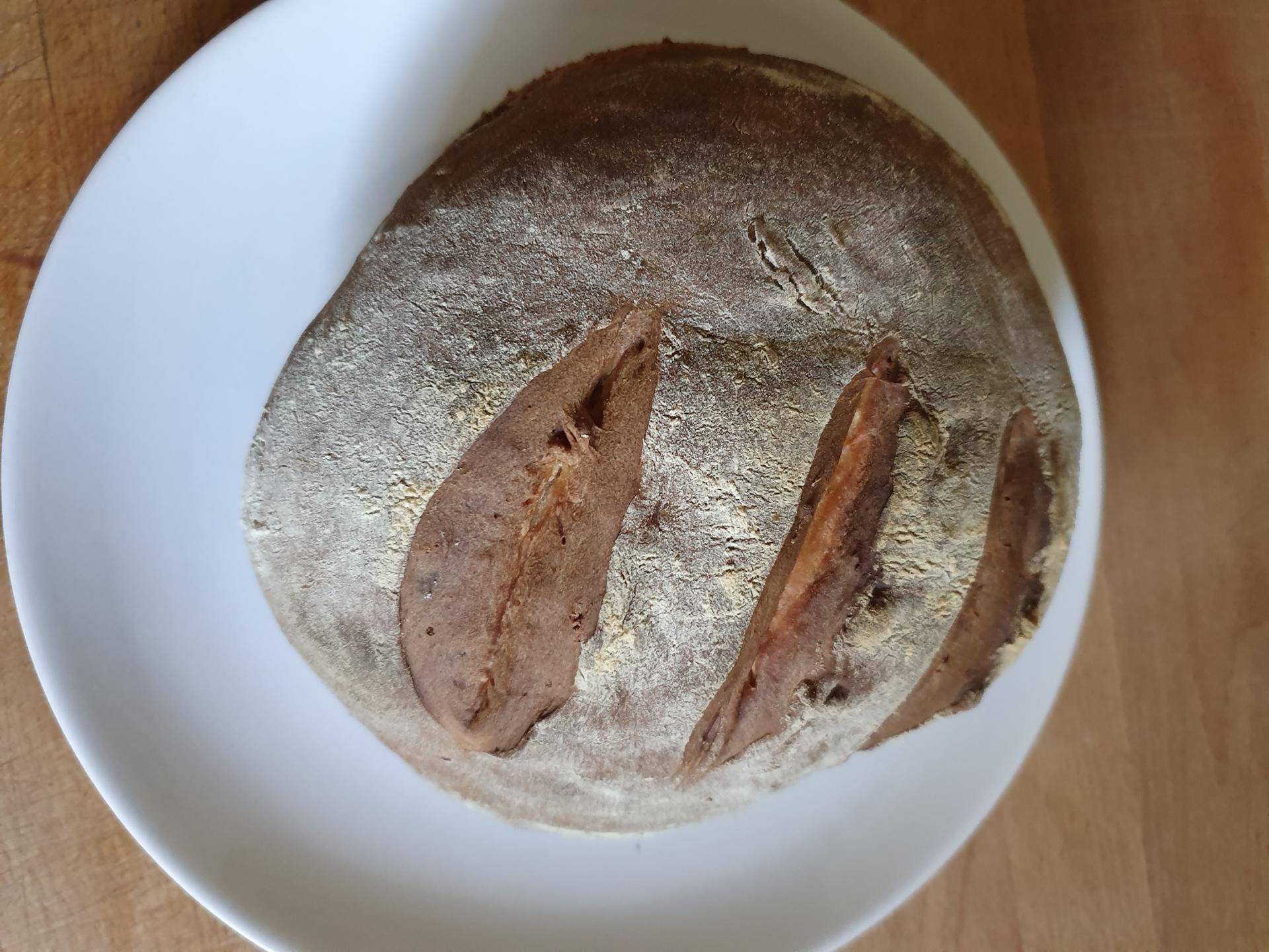 Joghurt Brot - Rezepte Prep & Cook | Krups