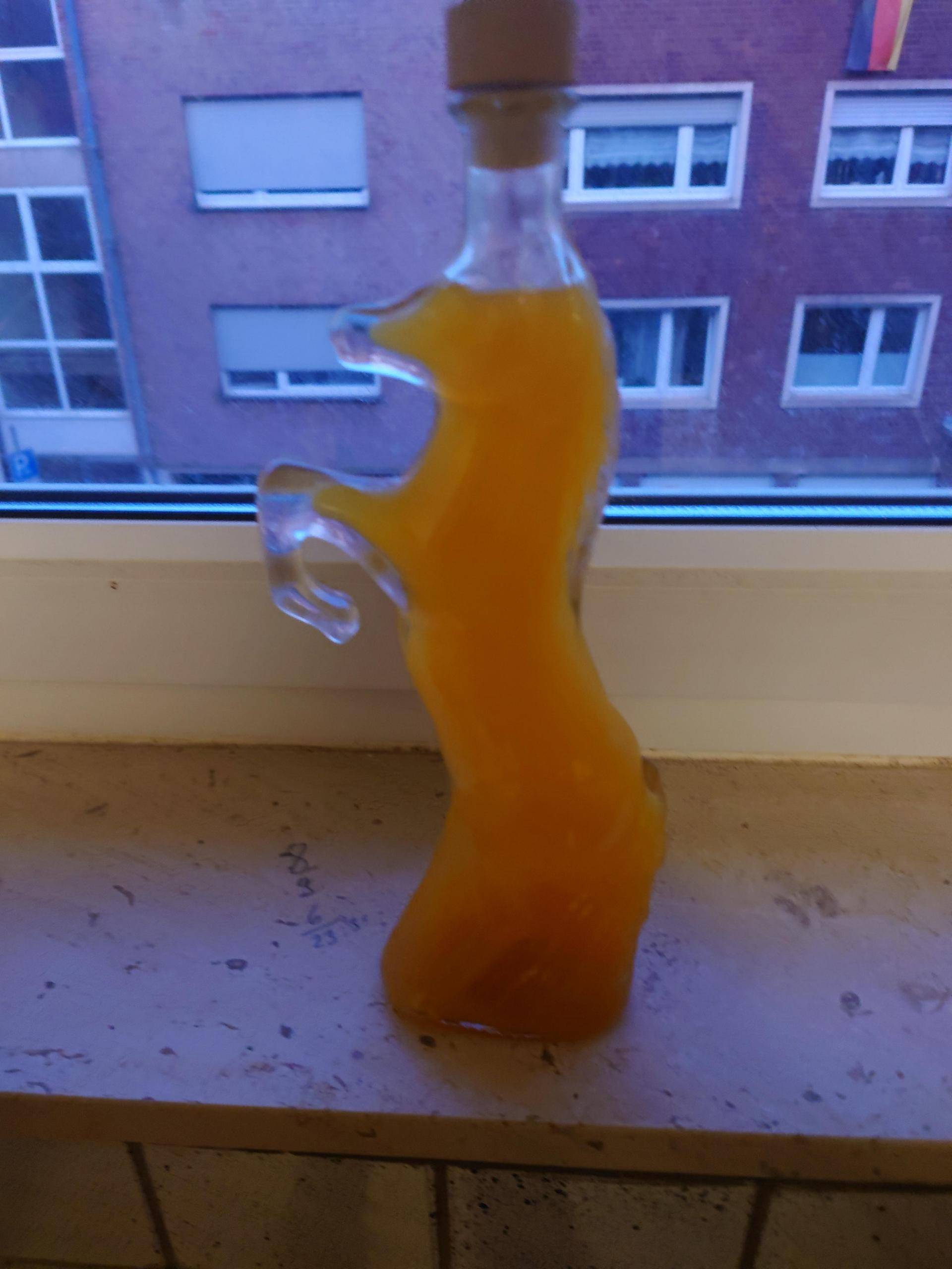 Perfekter Nimm2 Schnaps - Rezepte Prep & Cook XL | Krups