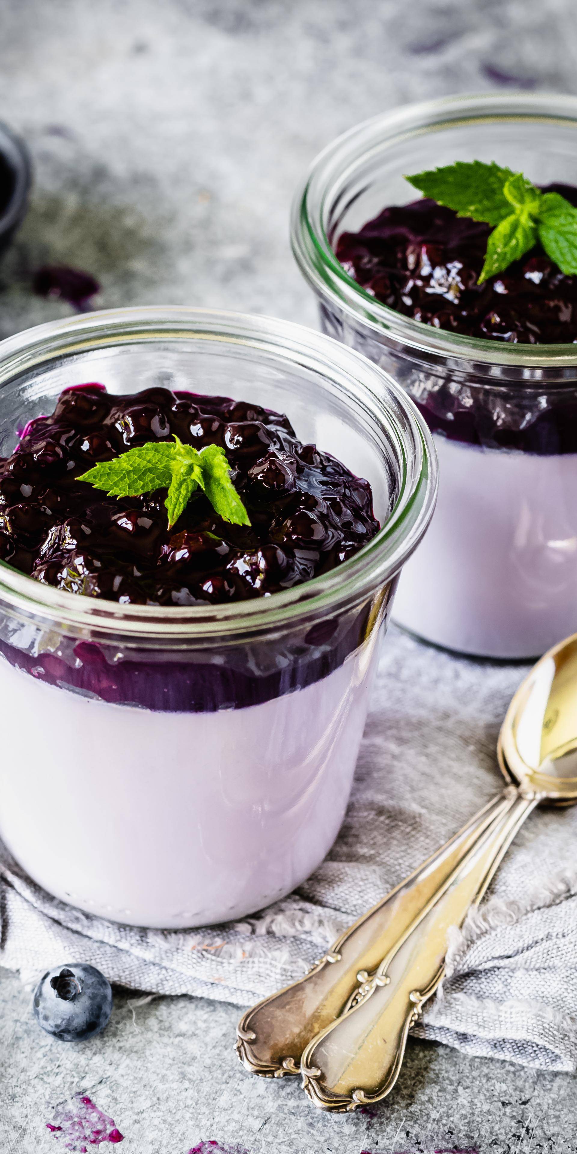 Heidelbeer-Panna Cotta - Rezepte Prep &amp; Cook | Krups