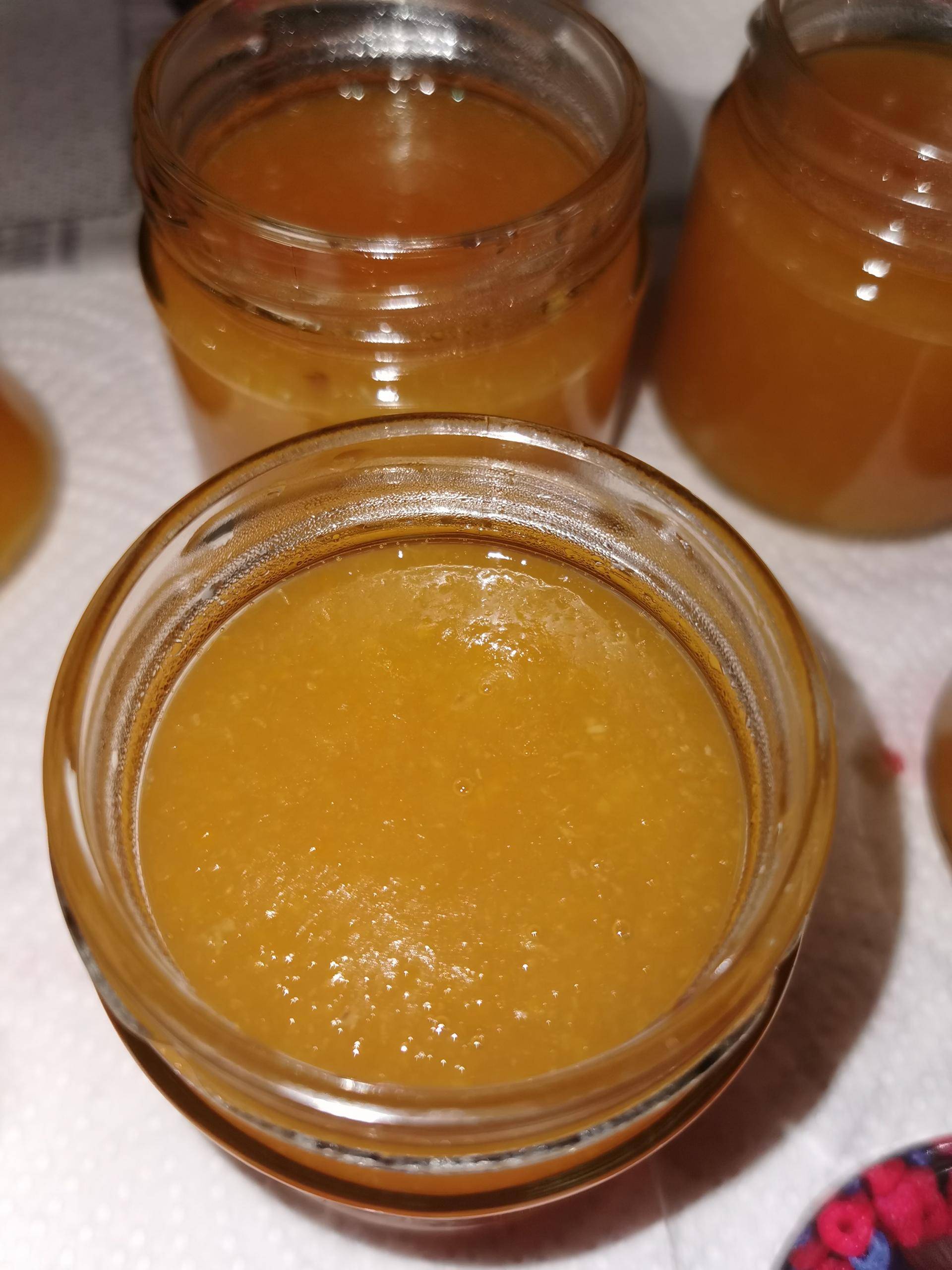 Urlaubsmarmelade - Rezepte Prep & Cook XL | Krups