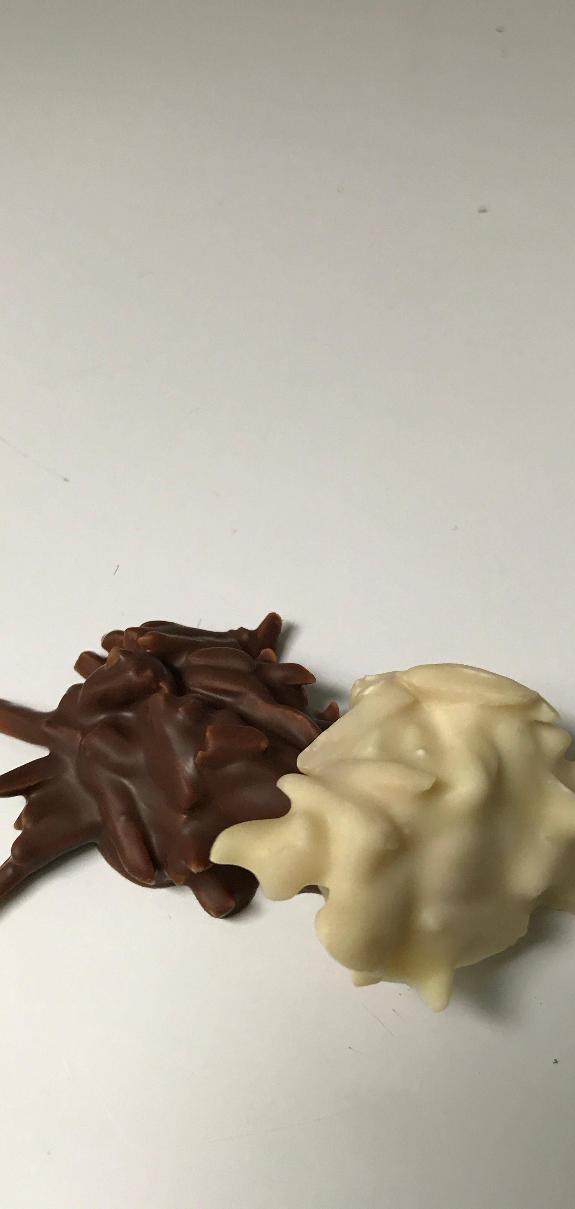 Mandelsplitter - Rezepte Prep & Cook | Krups