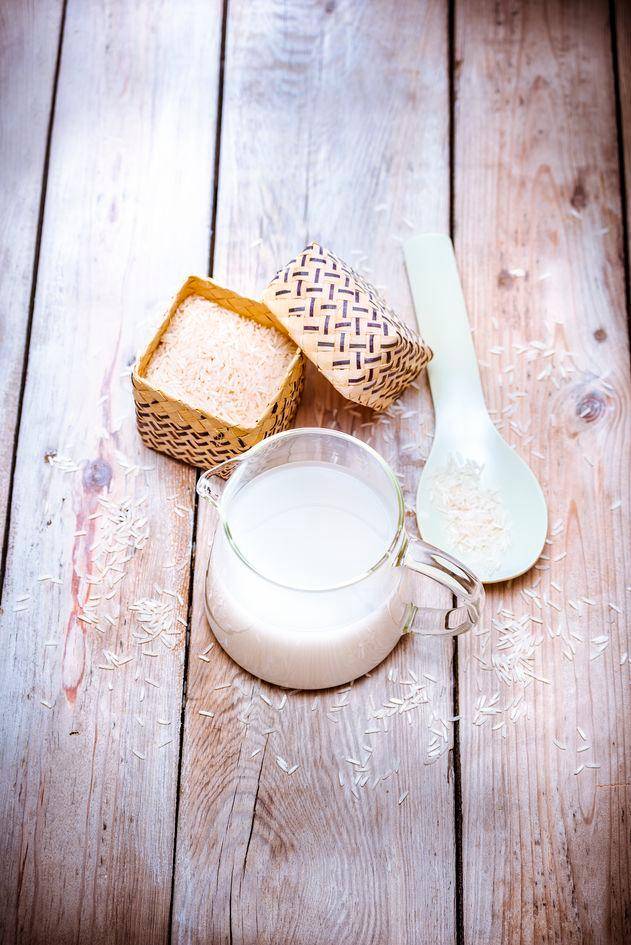 Reismilch - Rezepte Perfectmix + | Krups