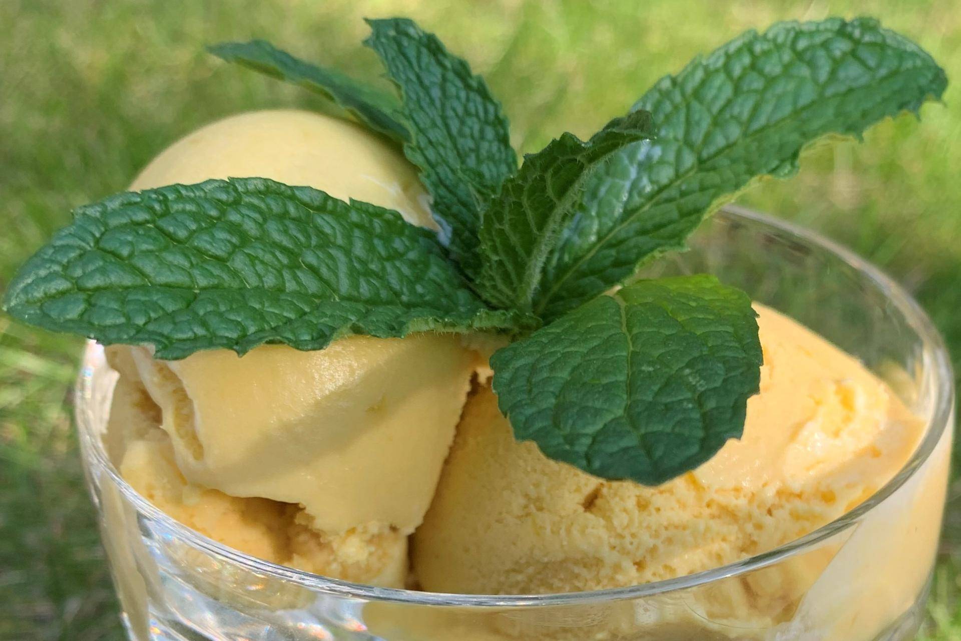 Mango-Eiscreme - Rezepte undefined | Krups