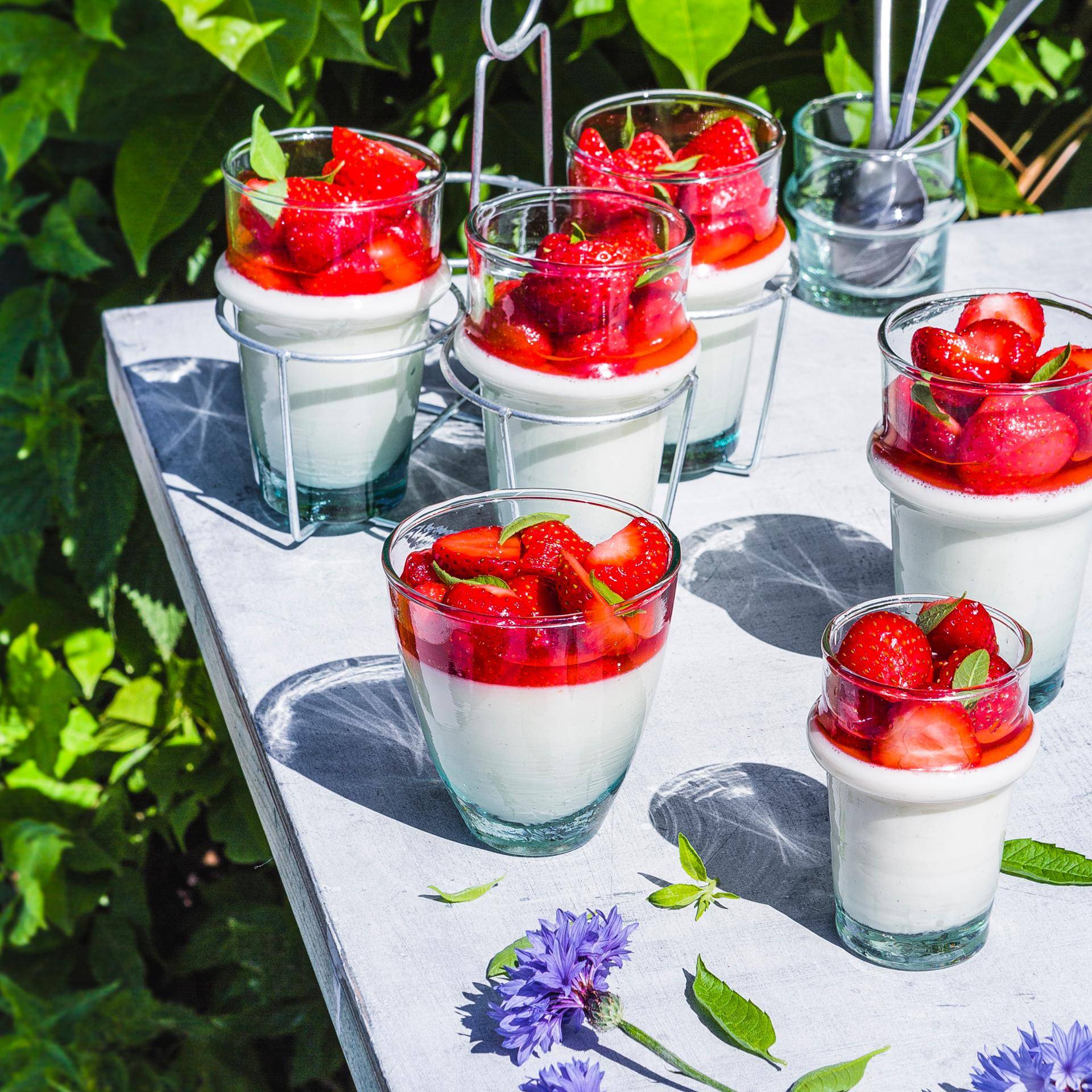 Frische Panna Cotta mit Eisenkraut - Rezepte Prep & Cook | Krups