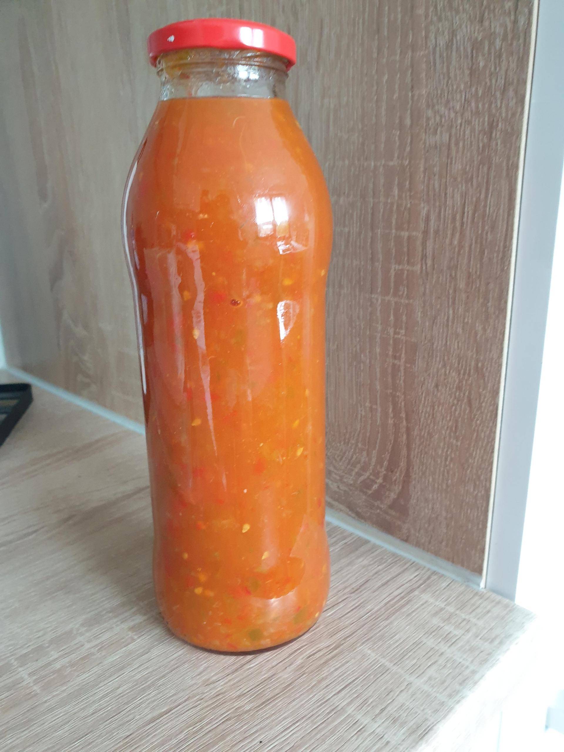 Salsa - Rezepte Prep & Cook XL | Krups