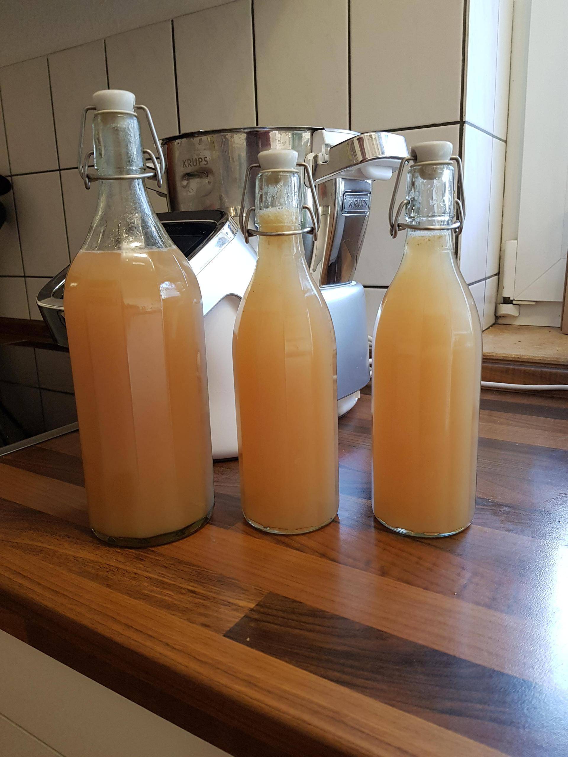 Zitronen-Ingwer Sirup - Rezepte Prep & Cook Connect | Krups