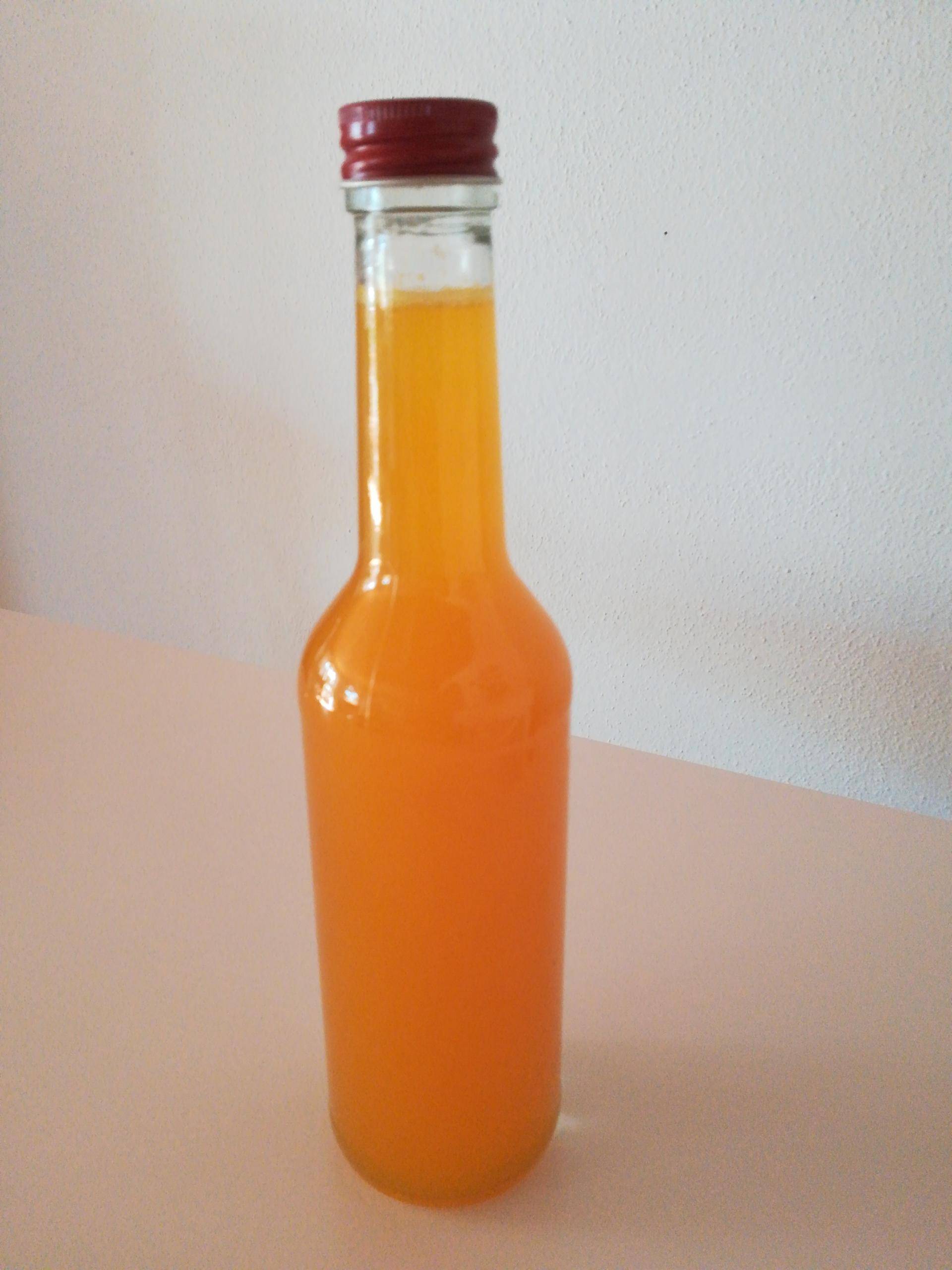Orangensirup - Rezepte Prep & Cook | Krups