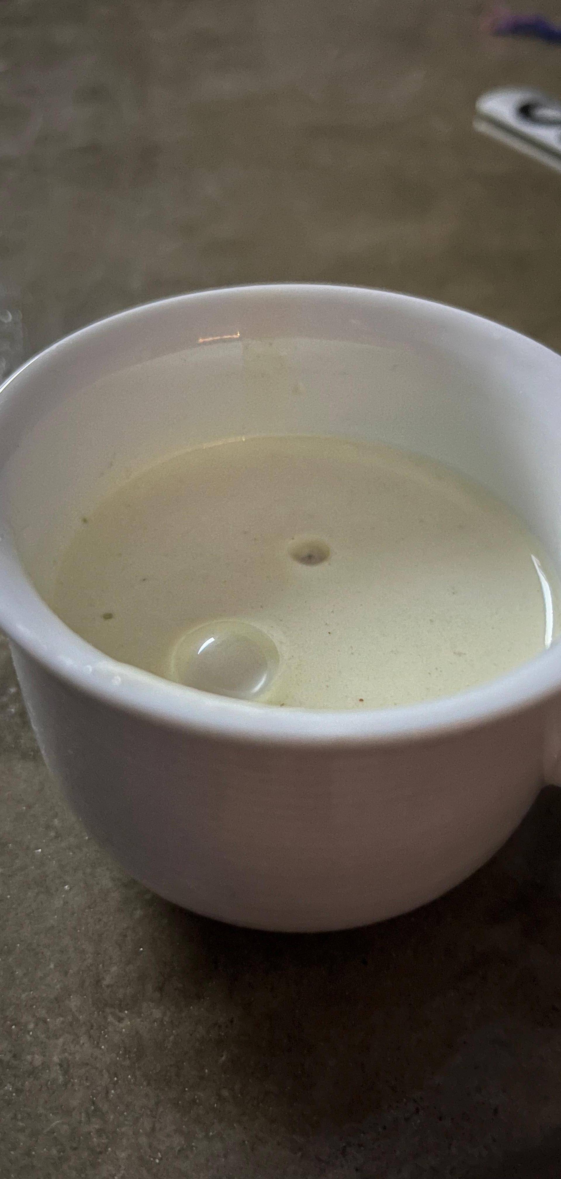 Egg nog - Rezepte Prep & Cook | Krups